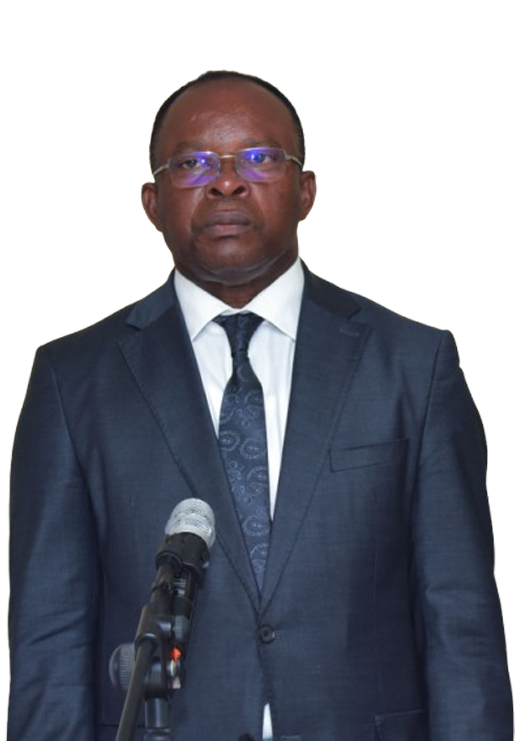 Prof. Ngomo Horace Manga